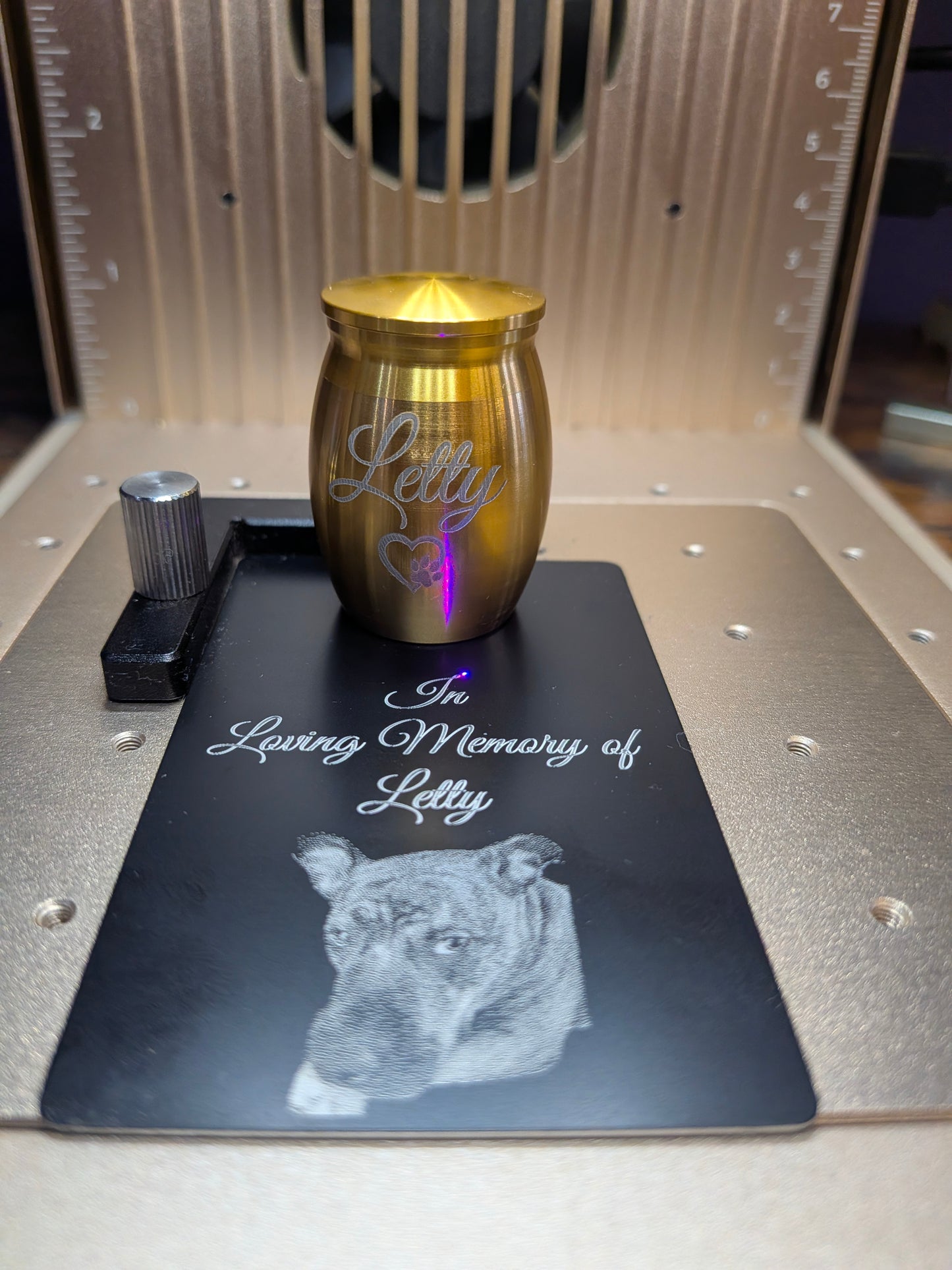 A small metallic urn with a gold finish and engraved script reading 'Letty' sits on a black plaque printed with 'In Loving Memory of Letty' and a dog portrait. The setup is photographed inside a machine with metallic rails and measurement markings visible in the background.