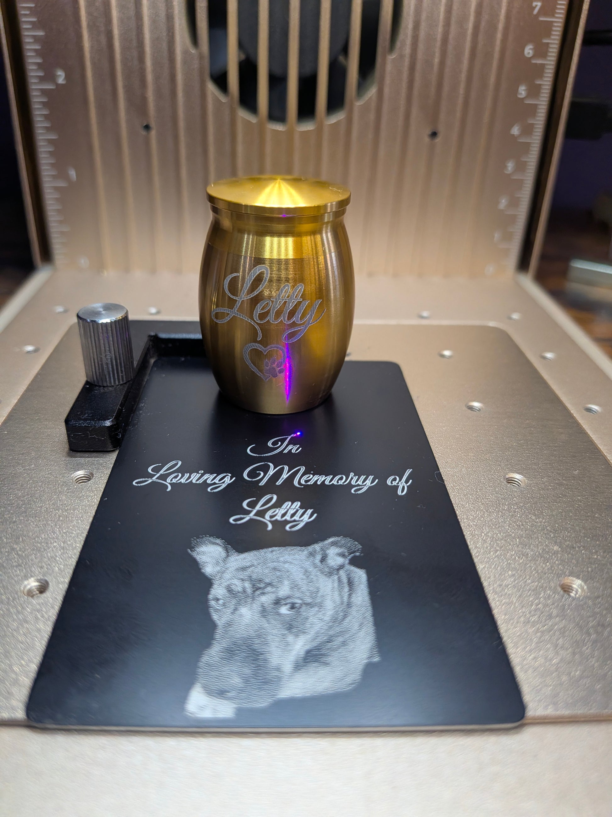 A small metallic urn with a gold finish and engraved script reading 'Letty' sits on a black plaque printed with 'In Loving Memory of Letty' and a dog portrait. The setup is photographed inside a machine with metallic rails and measurement markings visible in the background.